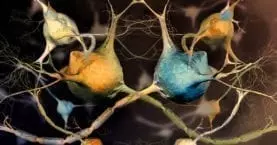 neurorehabilitative services featured