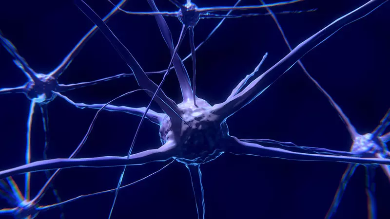 brain stimulation therapy