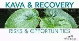 Kava and Recovery - Risks and Opportunities