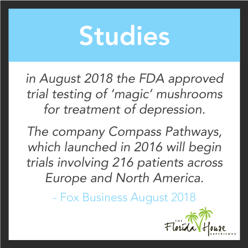 New study approved by the fda involving microdosing mushrooms