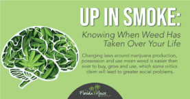has weed taken over your life?
