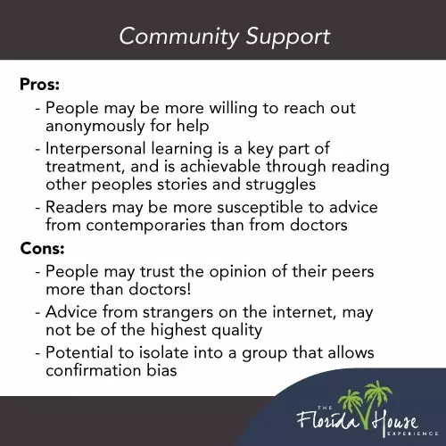 What are the benefits and negatives of online support for Alcoholism