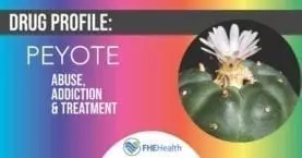 Drug Profile on the Drug Peyote