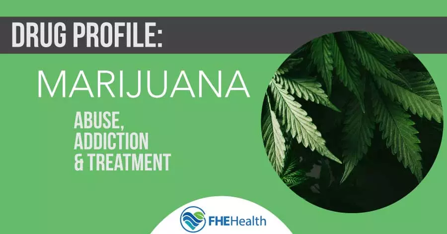 Drug Profile - Marijuana -Abuse, Addiction and Treatment