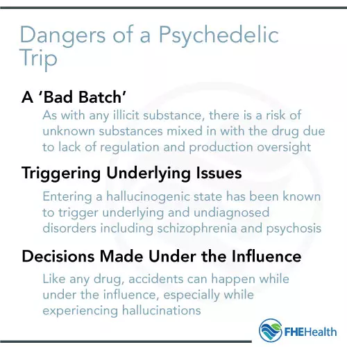 What are the dangers of a psychedelic trip?