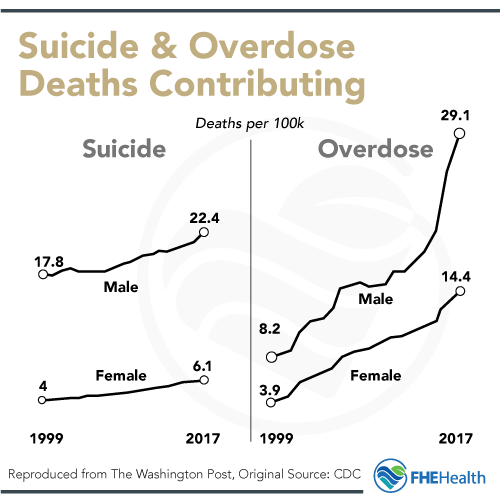 Suicide and overdose death contributing to shorter life expectancy