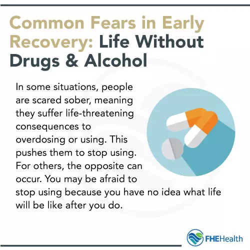 Life without Drugs and Alcohol