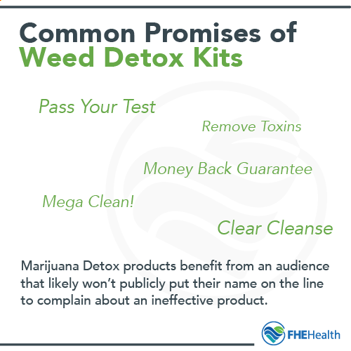 how to flush tobacco out your system Weed of How Long Can Nicotine Stay
