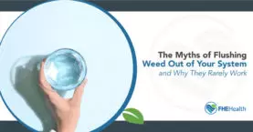How To Flush Weed Out of Your System -Flushing Weed out of your system and why it rarely works - How to clean pot out of system