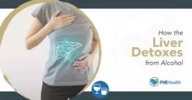 How Does the Liver Detox from Alcohol?