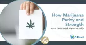 High Times: The Remarkable Surge in Marijuana Purity and Potency