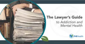 Lawyer's Guide to Addiction