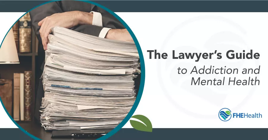 Lawyer's Guide to Addiction