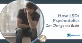 Beyond Perception: Exploring How LSD/Psychedelics Can Reshape the Brain