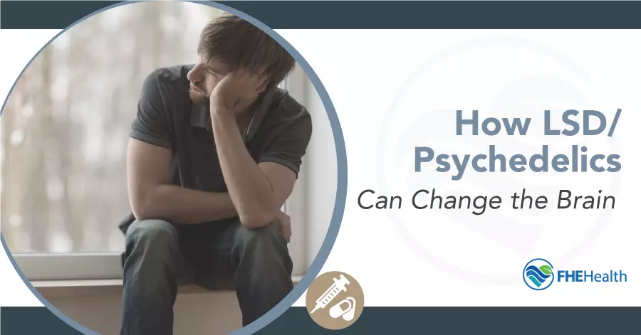 Beyond Perception: Exploring How LSD/Psychedelics Can Reshape the Brain
