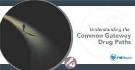Gateways Unmasked: Understanding Common Drug Paths
