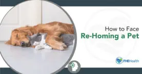 Facing the Challenge of Re-Homing a Pet