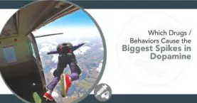 What Drugs/Behaviors Cause the Biggest Release of Dopamine in the Brain?