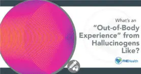 Understanding Out-of-Body Experiences from Hallucinogens