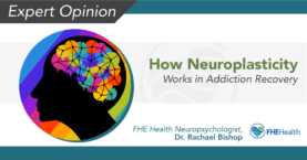 Neuroplasticity's Role in Addiction Recovery