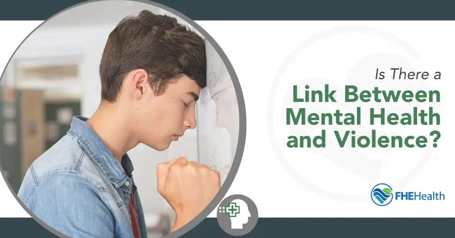 The Relationship Between Mental Health and Violent Acts