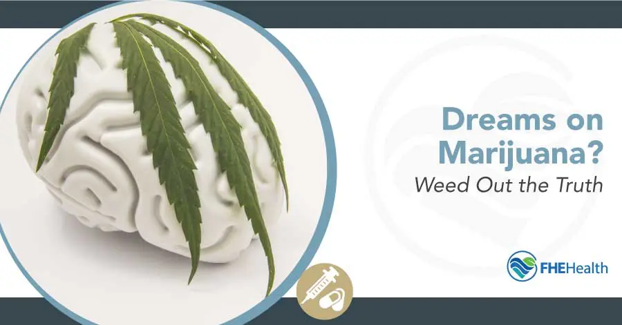 Dreams on Marijuana