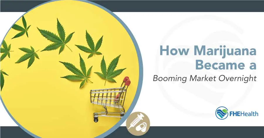 High Times for Green Business: The Rapid Rise of the Marijuana Market