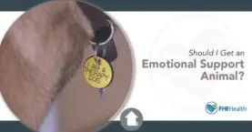 Should I get an emotional support animal