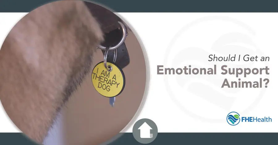 Should I get an emotional support animal