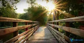 One Direction for Liam Payne After Rehab