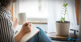 Creating a Wellness Plan for the new year