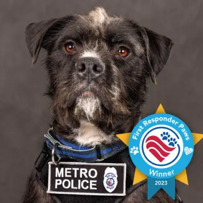 Sgt. Bo, 2023 First Responder Paws winner