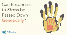 Are Stress Responses Inherited Genetically?