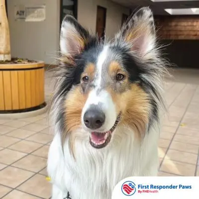 Bree — 2025 First Responder Paws participant