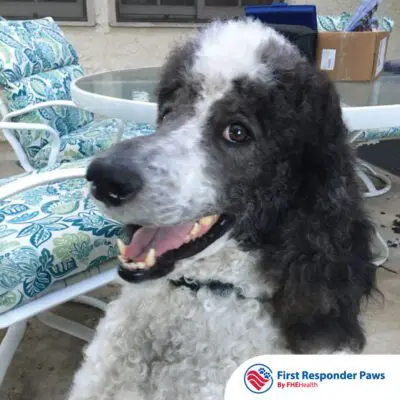 Rudy — 2025 First Responder Paws participant