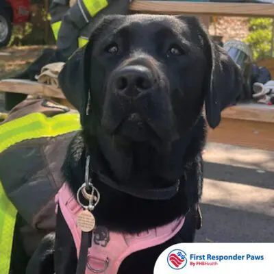 Pepper — 2025 First Responder Paws participant