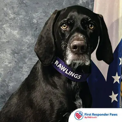 Rawlings — 2025 First Responder Paws finalist