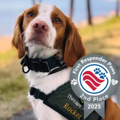 Rocket — 2025 First Responder Paws second place winner