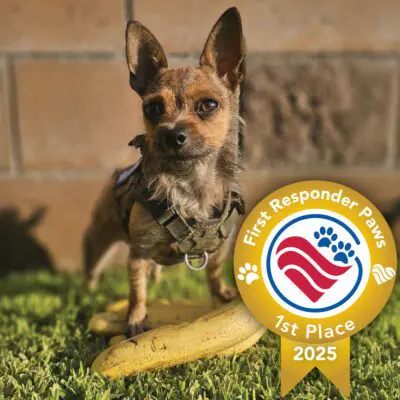 Willowbrook, 2025 First Responder Paws winner