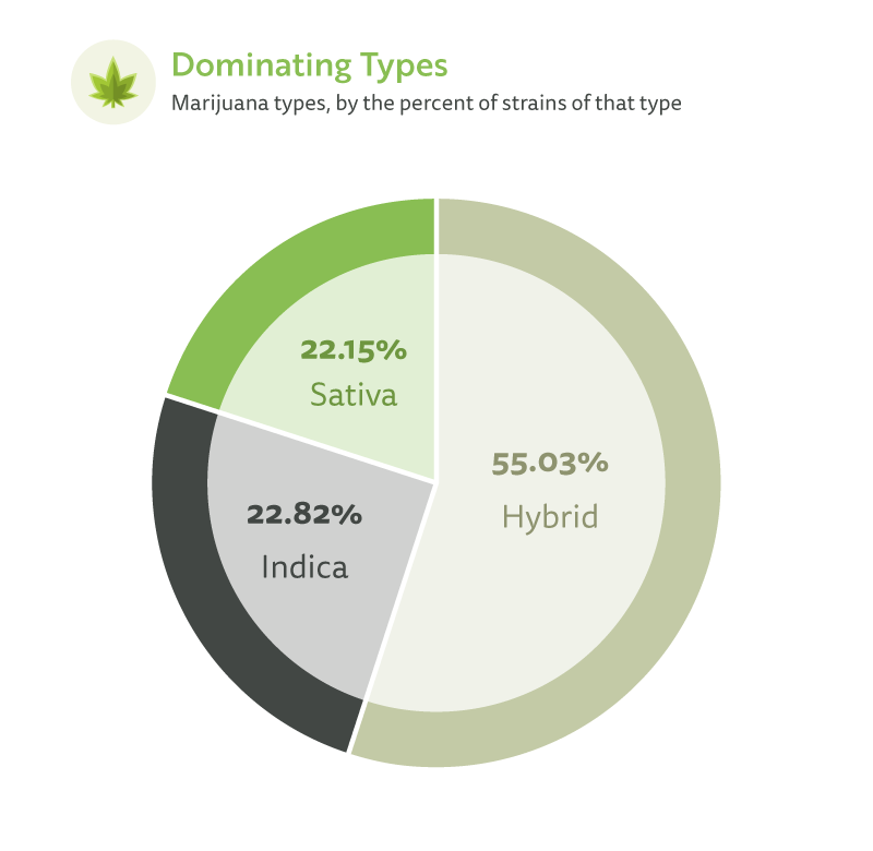 Marijuana types by percent of strains