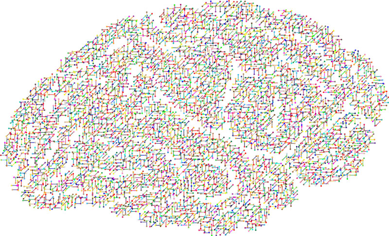 eeg brain mapping