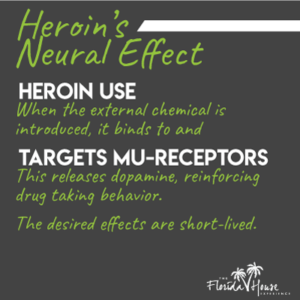 Heroin's Neural Effect