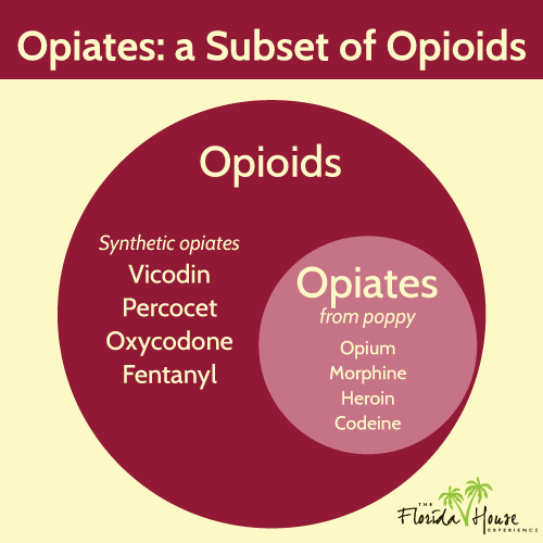 Opiates - a Subset of Opioids