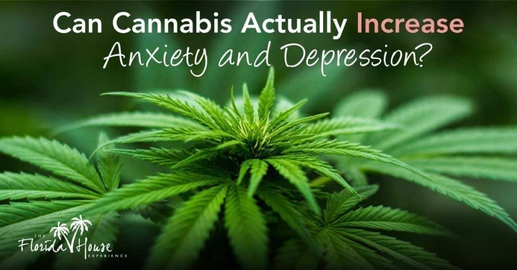 Can Cannabis Actually Increase Anxiety and Depression? | Marijuana Blog ...