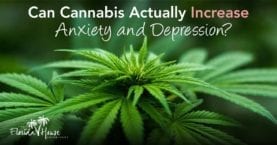 Can CAnnabis actually increase anxiety and addiction? FHE - Blog