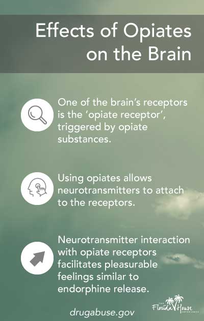 The effects of opiates on the brain