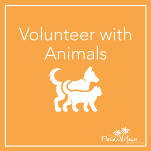 Activity for early recovery - Volunteering with animals