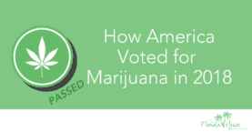 How America voted for marijuana in 2018