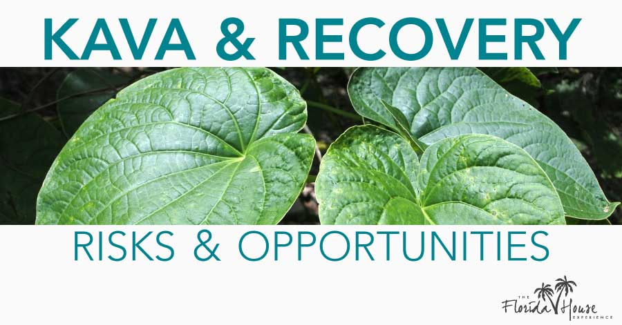 Kava and Recovery - Risks and Opportunities