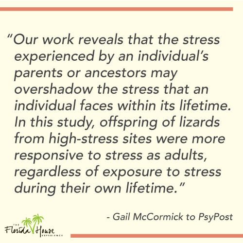 Study of - can stress be passed down